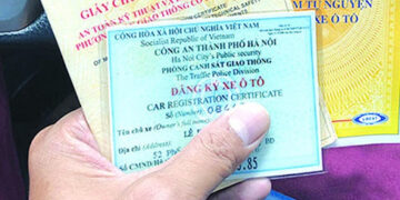 Giấy tờ khi lái xe