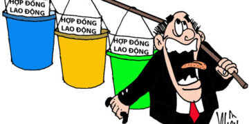 Hợp đồng lao động