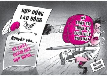 Kỷ luật lao động