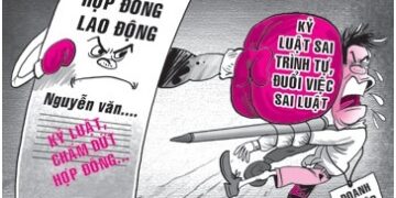 Kỷ luật lao động