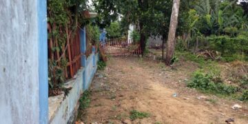 Tranh chấp đất đai