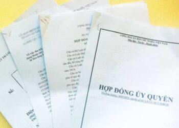 Hợp đồng ủy quyền