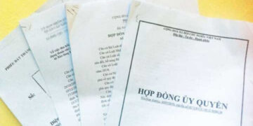 Hợp đồng ủy quyền